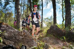 BIB: 
                            <button type="button" onclick="openModal(18916742)" class="btn btn-primary btn-sm float-right btn-popup" data-toggle="modal" data-target=".modal-high-quality">
                        <i class="fas fa-shopping-cart"></i> Add to Cart
                    </button>
                                            <button type="button" onclick="isThisMe(18916742, true)" class="btn btn-success btn-sm float-right btn-popup btn-isme hidden" data-toggle="tooltip" data-placement="bottom" title="นี่คือรูปของคุณใช่ไหม คลิกที่นี่เพื่อเอาเข้าอัลบั้ม">
                        <i class="fas fa-plus"></i> Add to album
                    </button>
                    <button type="button" onclick="isThisMe(18916742, false)" class="btn btn-warning btn-sm float-right btn-popup btn-isnotme hidden">
                        <i class="fas fa-ban"></i> Remove from album
                    </button>